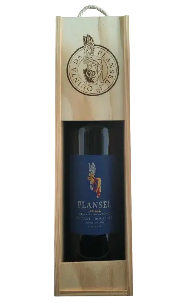 Plansel Selecta Alicante Bouschet Reserve Magnum in der Holzkiste