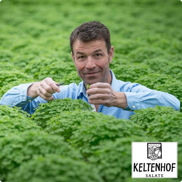 Keltenhof – Innovative Produkte rund um das zarte Grün