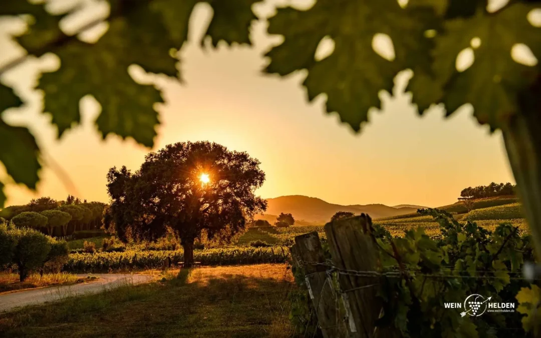 Die Toskana – Weinregion voller Genuss