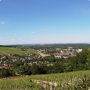 Weinregion Loire