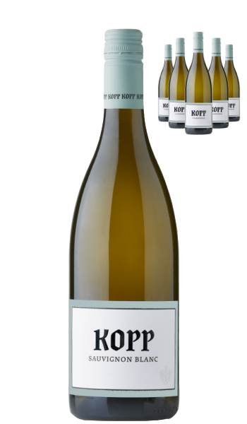 Sauvignon Blanc Gutswein von Johannes Kopp