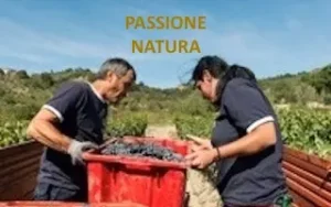 Passione Natura Trauben aus biodynamischer Landwirtschaft