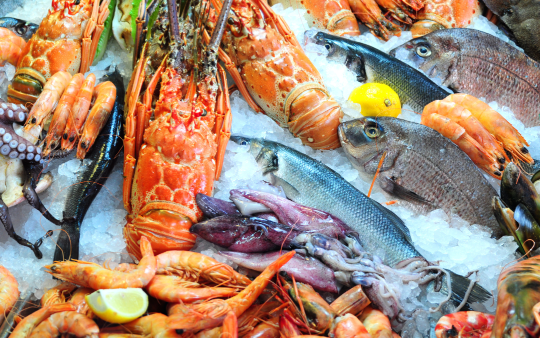 Welcher Wein passt zu Meeresfrüchten