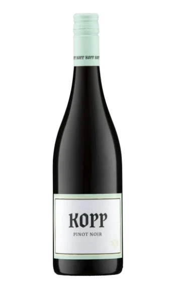 Pinot Noir - Spätburgunder - vom Weingut Kopp in Sinzheim