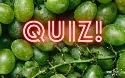 QUIZ Welcher Weintyp sind Sie?