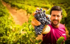 Victor Yago | Bodegas Tempore | Weinhelden.de
