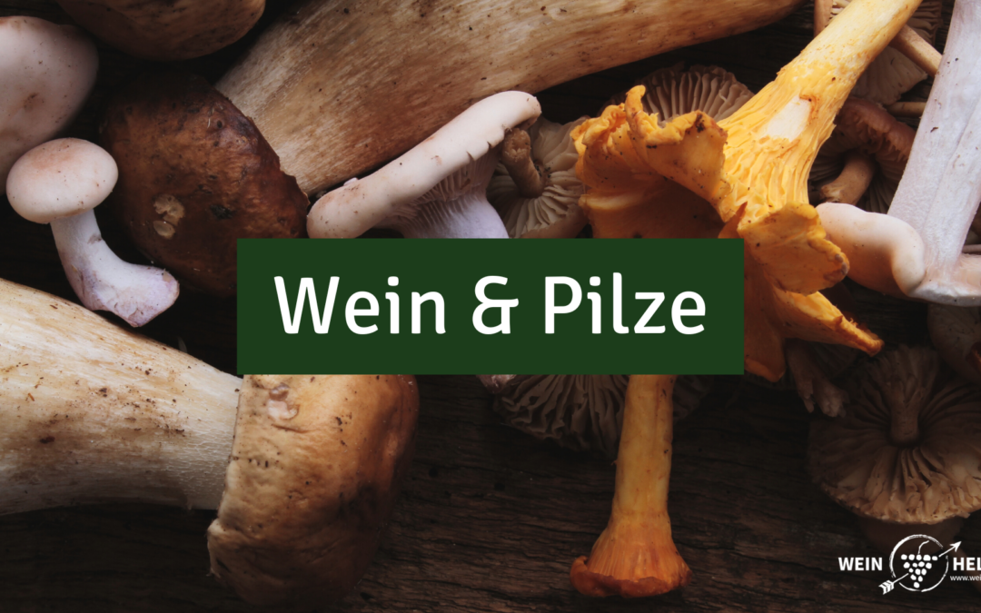 Wein zu Pilzen & Pilzgerichten